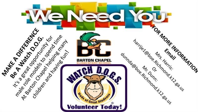 DOG Volunteer